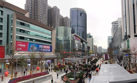 Electronic street